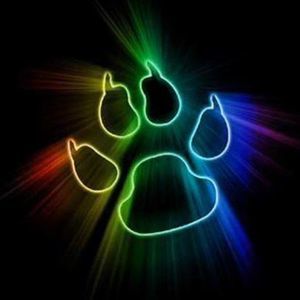 Meet your Posher, Capri